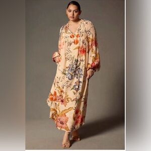 Siddhartha bansal maxi large
